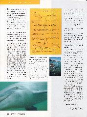 wp06f5770b_0f.jpg