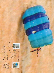 wp163cf3bb_0f.jpg